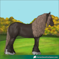 Horse Color:Liver Chestnut Tobiano 