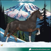 Horse Color:Liver Chestnut Tobiano 