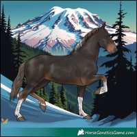 Horse Color:Liver Chestnut Tobiano 