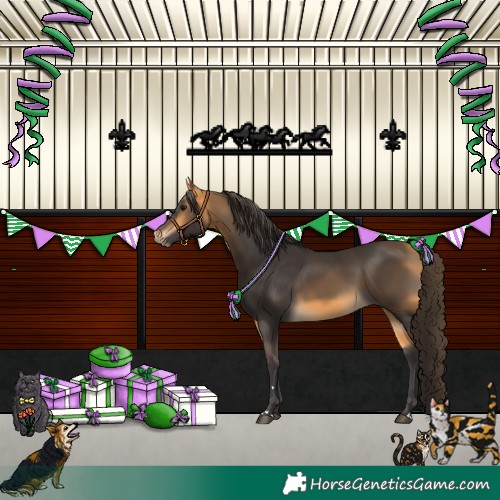 Horse Color:Buckskin 