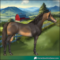 Horse Color:Buckskin