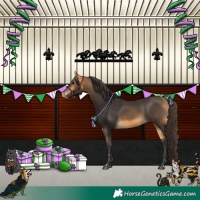 Horse Color:Buckskin 