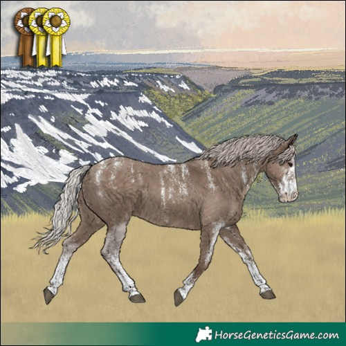 Horse Color:Powder White White Spotted Silver Grullo 