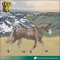 Horse Color:Powder White White Spotted Silver Grullo