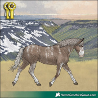 Horse Color:Powder White White Spotted Silver Grullo