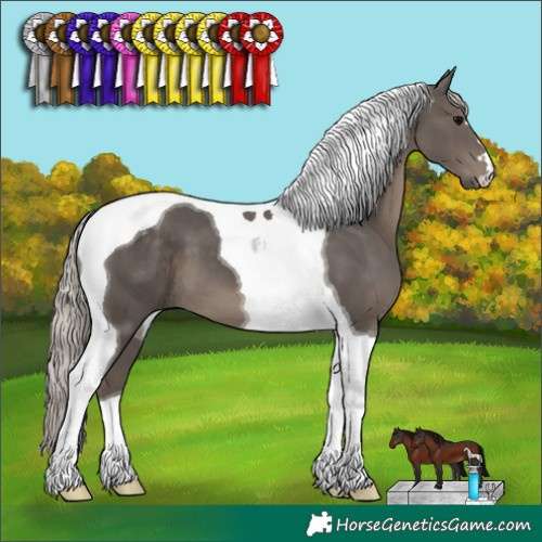 Horse Color:Silver Black Tobiano 