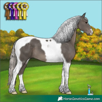 Horse Color:Silver Black Tobiano 