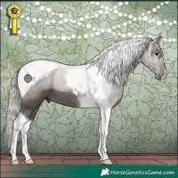 Horse Color:Silver Black Tobiano 