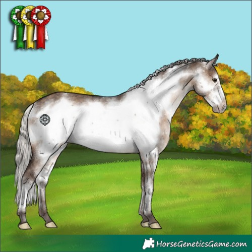 Horse Color:White Spotted Silver Brown Dun Frame Rabicano 