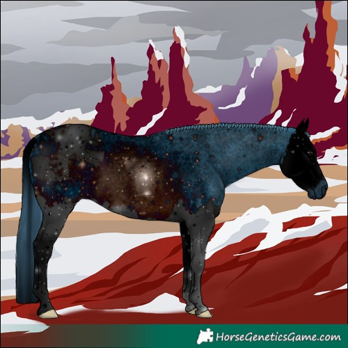 Horse Color:ERROR: UNKNOWN ANOMALY