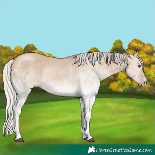 Horse Color:White Spotted Silver Brown Dun 