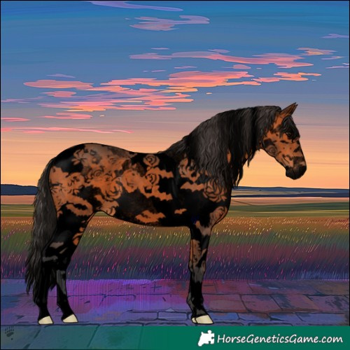 Horse Color:Void White Spotted Bay Tobiano 