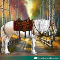 Horse Color:Chocolate Palomino Dun Sabino Tobiano 