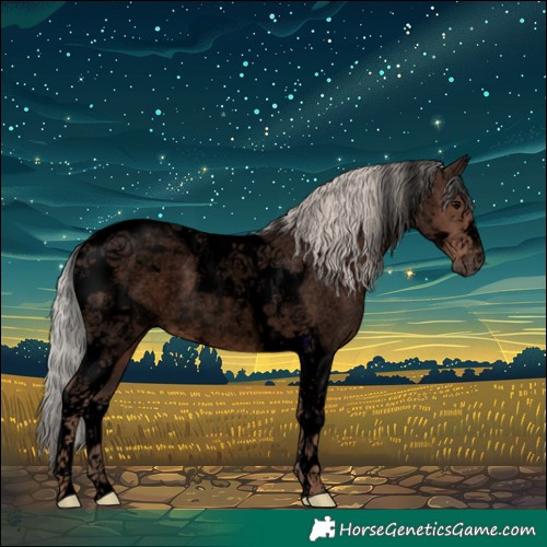 Horse Color:Void Silver Blue Roan Tobiano 