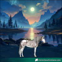Horse Color:White Spotted Liver Chestnut Splash Blanket