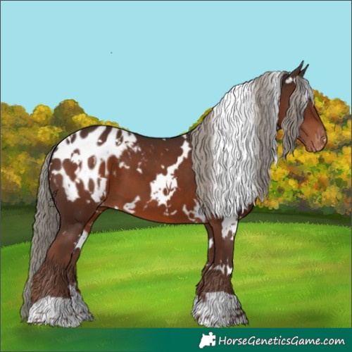 Horse Color:White Spotted Liver Chestnut Mushroom Blanket