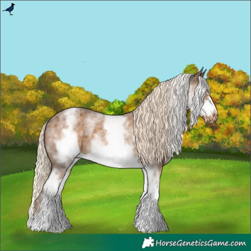 Horse Color:White Spotted Chocolate Palomino Roan Frame 