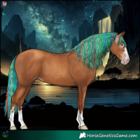 Horse Color:Gray Painted Gold Champagne