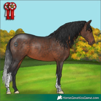 Horse Color:Brown Tobiano Rabicano