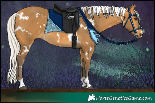 Horse Color:White Spotted Silver Buckskin 