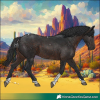 Horse Color:Brown Tobiano 