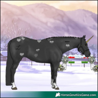 Horse Color:Black Tobiano 