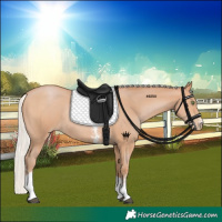 Horse Color:Silver Bay Pearl Sabino Tobiano Rabicano 