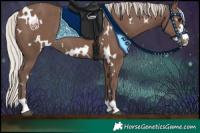 Horse Color:White Spotted Silver Black Rabicano 