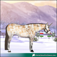 Horse Color:Void Buckskin Ice Onyx 