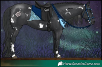 Horse Color:White Spotted Black 