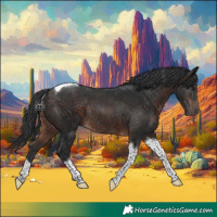 Horse Color:Brown Tobiano Rabicano 