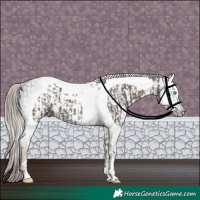 Horse Color:Silver Black Splash Tobiano Varnish  and Gray Liver Chestnut Sabino 