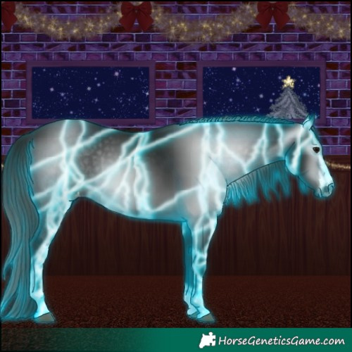 Horse Color:Gray Thunderstruck Black Appaloosa 