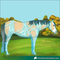 Horse Color:Thunderstruck Buckskin Splash 