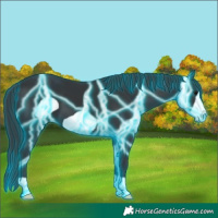 Horse Color:Thunderstruck Black Frame 