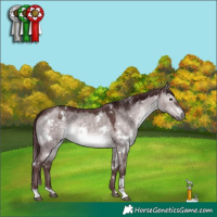 Horse Color:Platinum White Spotted Chocolate Brown Dun 