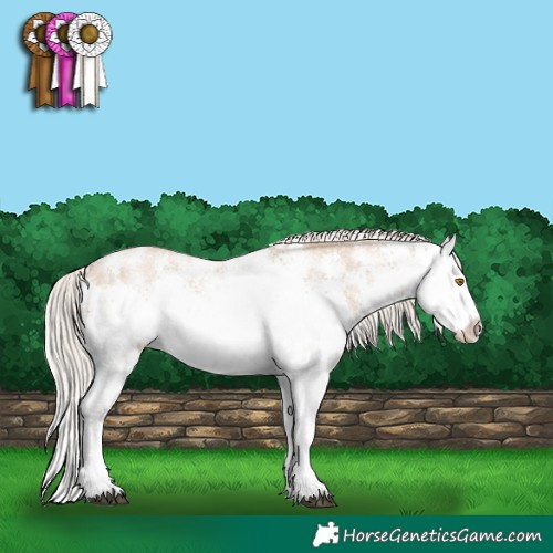 Horse Color:White Spotted Silver Grullo Pearl Sabino Splash 