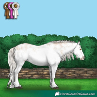 Horse Color:White Spotted Silver Grullo Pearl Sabino Splash 