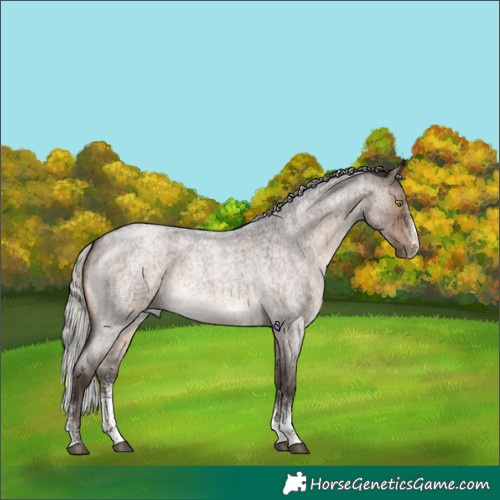 Horse Color:Silver Brown Roan Dun Sabino Brindle 