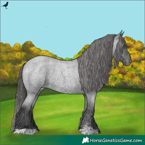 Horse Color:Blue Roan Varnish