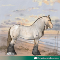 Horse Color:Buckskin Roan Varnish 