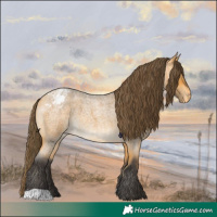 Horse Color:Buckskin Roan Appaloosa 