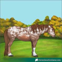 Horse Color:Chestnut Ice Tobiano