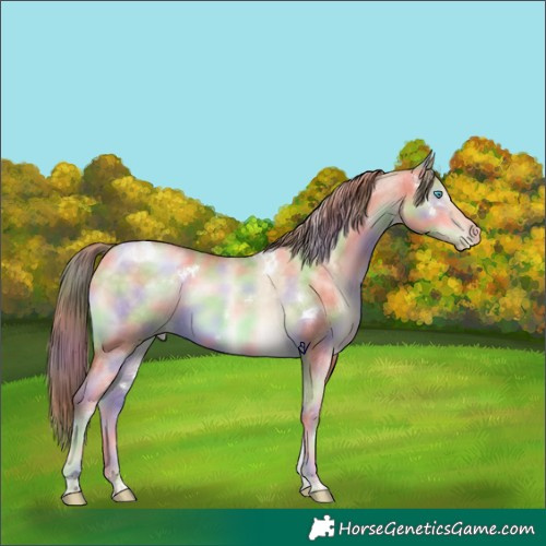 Horse Color:Nacre White Spotted Buckskin Pearl Dun Tobiano Brindle 