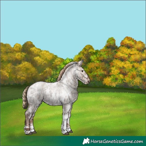 Horse Color:Liver Red Dun Ice Roan Tobiano 