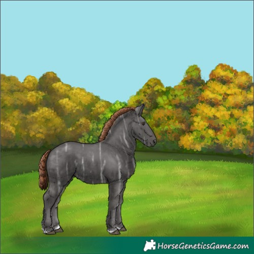 Horse Color:Liver Chestnut Ice Tobiano 