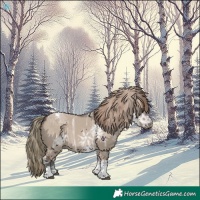 Horse Color:Liver Red Dun Ice Tobiano Rabicano 