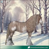 Horse Color:Liver Red Dun Ice Tobiano Rabicano 