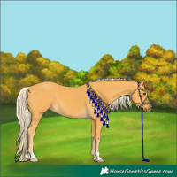 Horse Color:Palomino 