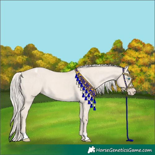 Horse Color:Cremello Dun Varnish 